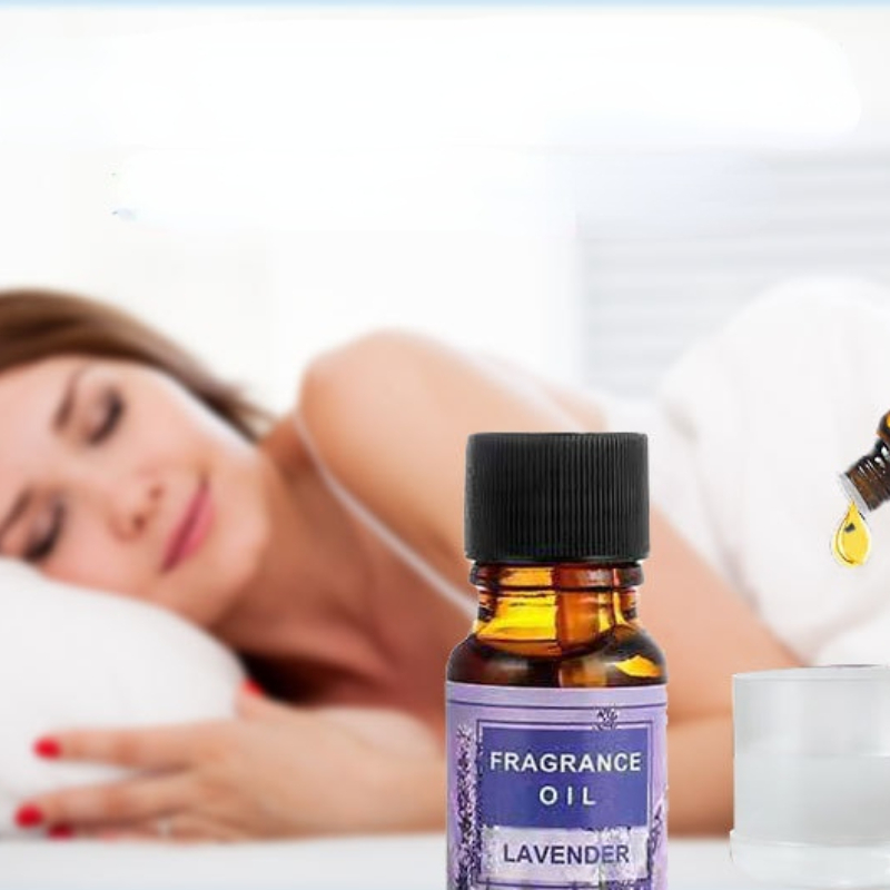 Oải Hương Bạch Đàn Tinh Dầu Ng - đánh giá và giá Home Fragrance Bergamot